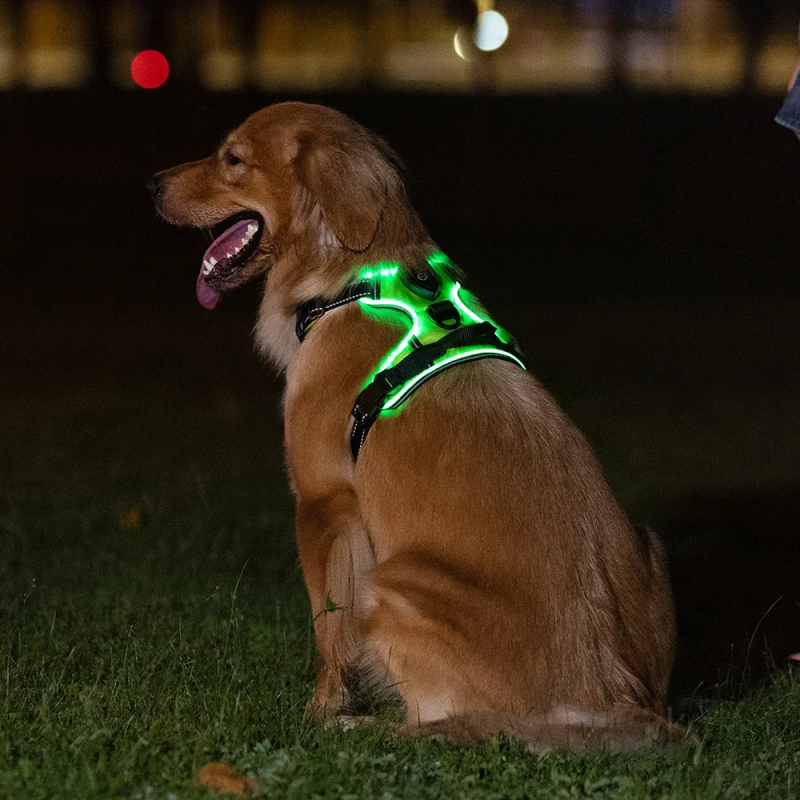 KUKA! Világító LED-es kutyahám - Image 2